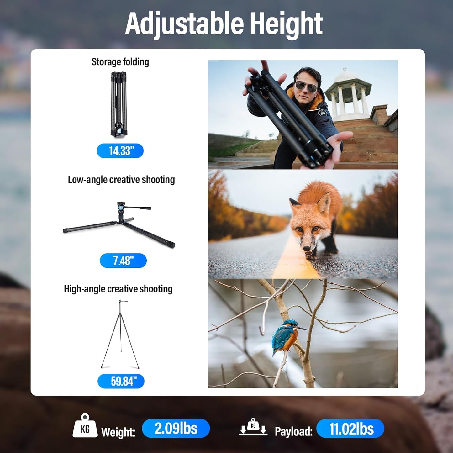 SIRUI Carbon Fiber Tripod Lightweight 2lbs with Panoramic Fluid Head, 59.8” Compact Camera Tripod Quick Release Leg Setup, Reversible Center Column, Reverse Folding Legs, Max Load 11lbs - Traveler X