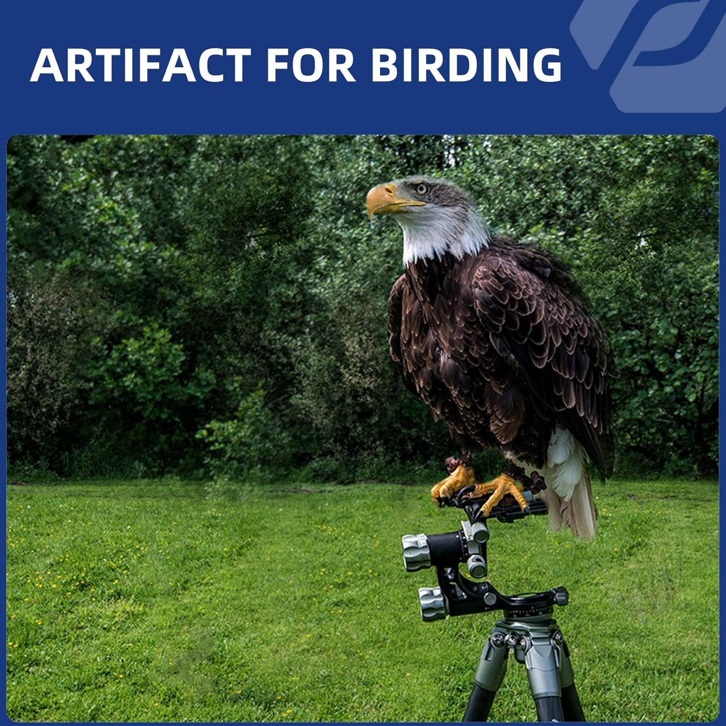 Fotopro E-6H Gimbal Head,Professional Tripod Head, Large Lens Head,Wildlife Photography Head, Sports Photography Head, Astrophotography Head